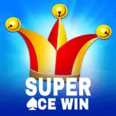 Super Acewin Acewin game cover