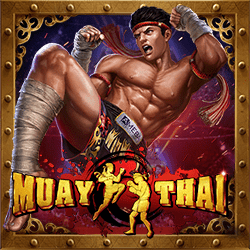 Muay Thai Ameba game cover