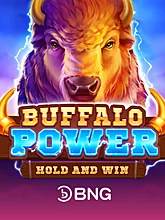 Buffalo Power: Hold and Win BNG game cover