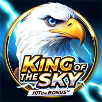 King of the Sky: Hit the Bonus BNG game cover