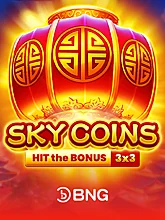 Sky Coins BNG game cover