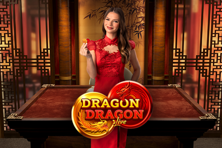Dragon Dragon Evolution game cover
