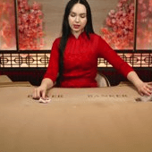 Speed Baccarat V Evolution game cover