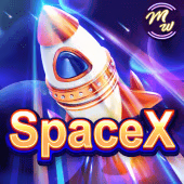 SpaceX Megawin game cover