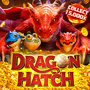 Dragon Hatch Pocket Games game cover
