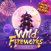 Wild Fireworks Pocket Games game cover
