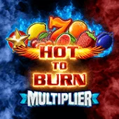 Hot to Burn Multiplier (Reel Kingdom Gaming) Pragmatic Play game cover